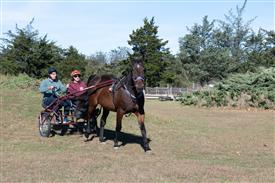 LR-WRF 10182025 Retreat-6442